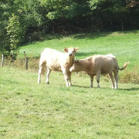 Апартаменты Gottschlich Шмалленберг