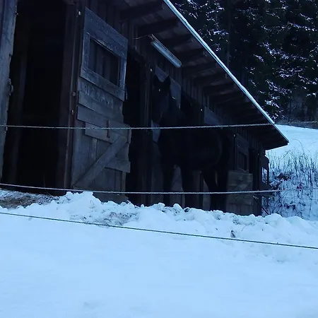 דירה Gottschlich