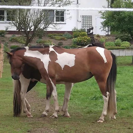 Gottschlich Апартаменты