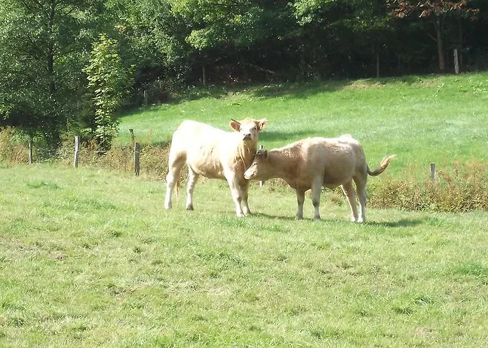 Appartement Gottschlich Schmallenberg